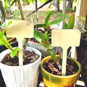 May include: Wooden plant markers with butterfly cutouts. The markers are rectangular with a small butterfly design at the top. They are inserted into pots with green plants. The pots are white, yellow, and black.