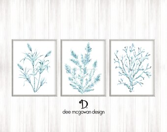 Set of 3 Watercolor Coral Seaweed Art Prints - Handpainted Seaweed Sea Fern Sea Coral Sea Blue Turquoise Gray Brown Hampton Style Beach