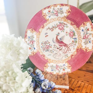 Minton Pink Cockatrice Plate
