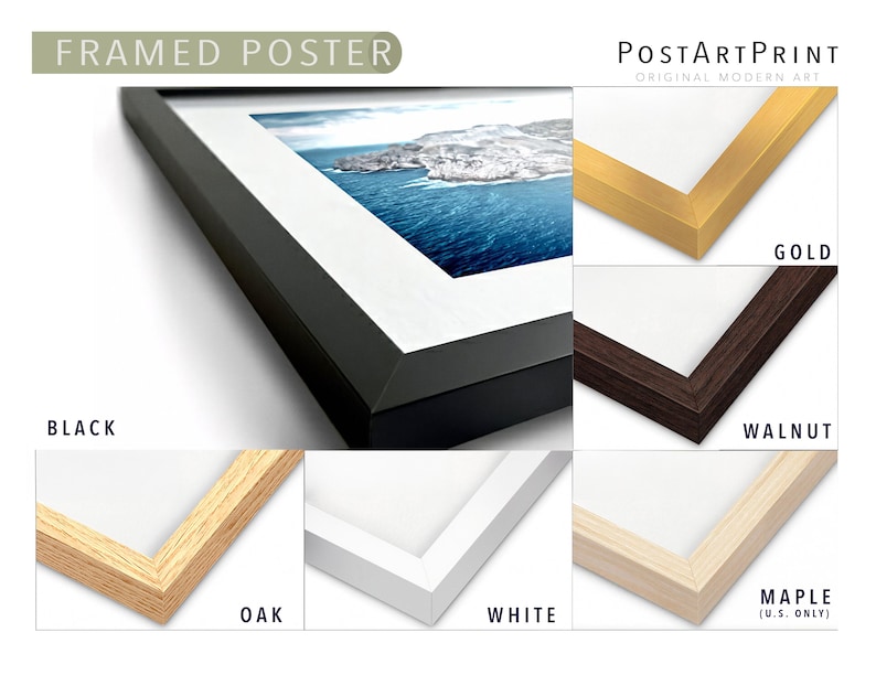 The image is a framed poster showcasing different types of frames, including gold, black, white, oak, and maple.