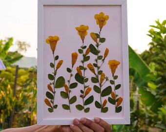 Real Dried Pressed Flowers and Leaves in a Frame for Wall Art Decor, Gift For Her, Product from Thailand