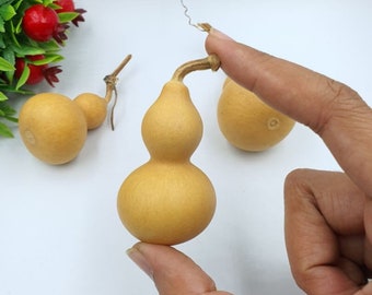 5 Pcs, Dried Gourds Small Size for Decorations, Product from Thailand