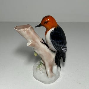 Rosenthal Germany Porzellan Figur Specht Vogel