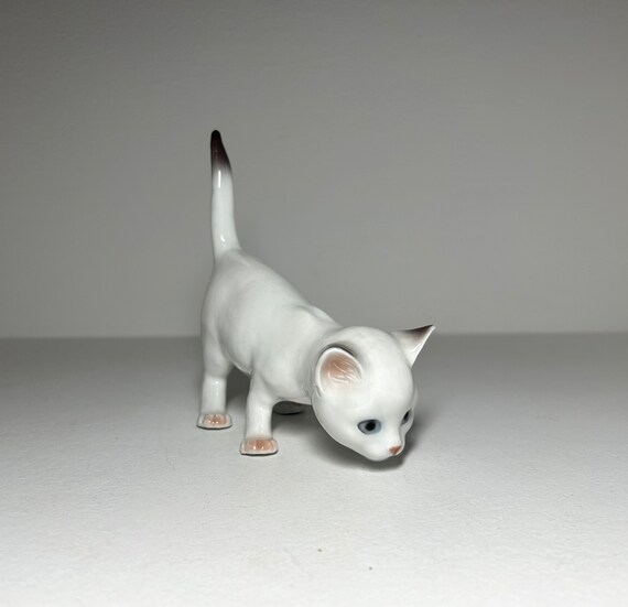Collare per animali domestici, Collare Elisabettiano Gatto, Collare a