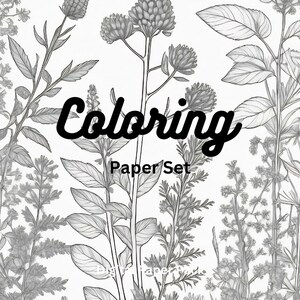 Op de afbeelding: Zwart-wit botanische illustratie met gedetailleerde tekeningen van planten en bloemen. Het woord "Coloring" is in een cursief lettertype geschreven, met "Paper Set" eronder. De afbeelding is een gedetailleerde lijntekening, perfect om in te kleuren.