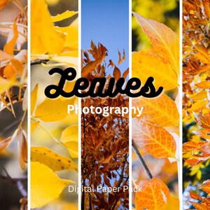 Digital Paper Pack --made with[Original Art]/Photography/Background Paper Bundle/Junk Journal Paper/Scrapbook Paper Pack