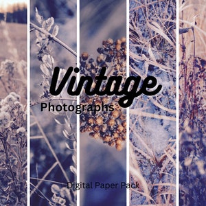 Digital Paper Pack --made with[Original Art]/Photography/Background Paper Bundle/Junk Journal Paper/Scrapbook Paper Pack