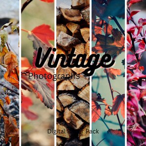 Digital Paper Pack --made with[Original Art]/Photography/Background Paper Bundle/Junk Journal Paper/Scrapbook Paper Pack