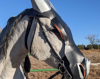 May include: A gray horse wearing a black and silver decorative mask and bridle. The mask covers the horse's head and features a stylized design. The bridle is black leather with silver hardware. The horse is in a field with a blue sky.