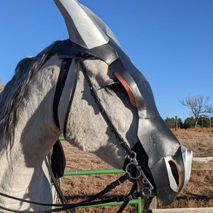 May include: A grey horse wearing a black and silver decorative mask and bridle. The mask covers the horse's head and has a stylized design. The bridle is black leather with silver fittings. The horse is in a field with a blue sky.