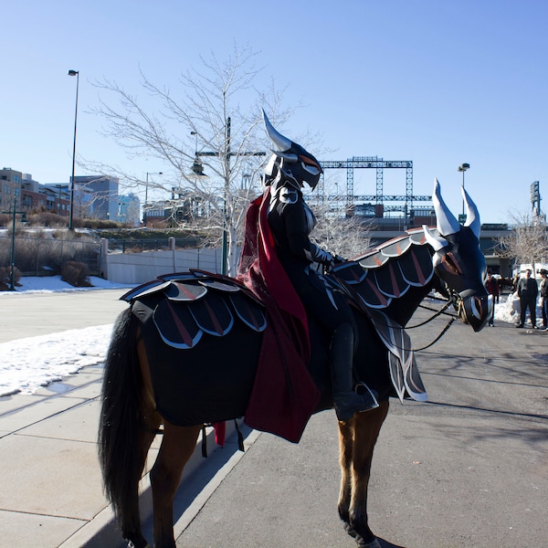 Ensemble de patrons de costume de cheval de chevalier dragon