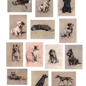 13 Cecil Aldin Dog images - High res and in the public domain