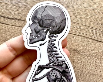 May include: A black and white sticker of a human skull and skeleton in profile. The sticker is on a white background.