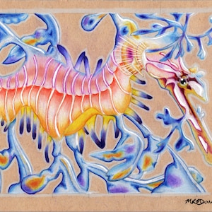 Leafy Sea Dragon - Print