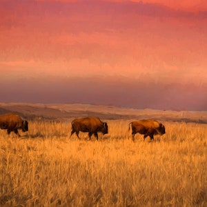 Bison Wall Art, Buffalo Wall Art, Bison Print, Bison Canvas, American Bison, Abstract Bison