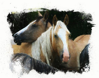 Wild Mustang Horse Art Print, Canvas, Metal, or Acrylic