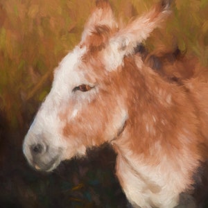 Donkey wall Art, Donkey wall canvas, Nursery Donkey print, Burro Art, Animal Paintings, Animal Wall Art, Burro art decor