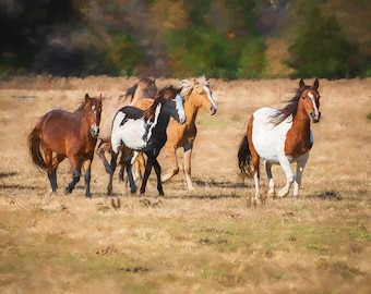 Spanische mustang Pferde Kunstdruck, Oklahoma Kulturerbe