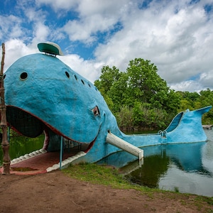 Puede incluir: Una escultura de ballena azul con un tobogán que sale de su boca. La escultura está en un estanque con árboles verdes y un cielo azul de fondo.
