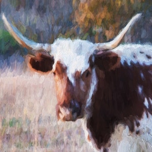 Cow Wall Art, Longhorn Cow Art, Cow Art Print, Cow painting, Cow canvas, Cow print