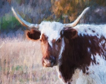 Longhorn Kuh Kunstdruck, Malerei auf Leinwand