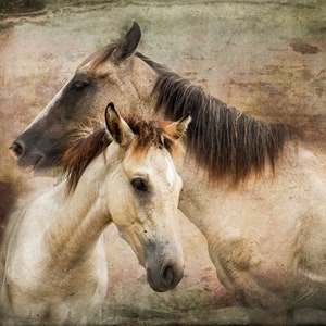 Horse Wall Art, Horse Art, Horses Wall Art, Horse Canvas, Horse Print, Horse Painting, Wild Mustangs Art