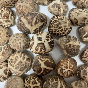茶花菇/Premium Dried Shiitake Mushroom Size 2-4 cm 8-16oz