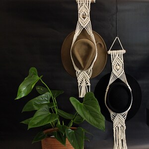 May include: Two cream-coloured macrame hat hangers, each holding a hat. One hat is brown, the other is black. The hangers are suspended against a black background. A potted plant with large green leaves is in the foreground.