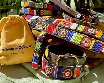 African Maasai bead designer dog collar, colourful beads on dark brown leather, handmade by the Mamas, our SunDance Design