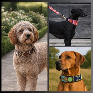 May include: Three dog collars featuring intricate beadwork patterns. One collar is brown with white and brown geometric shapes, another is a multi-colored striped collar with a matching leash, and the third is blue and green with circular motifs.