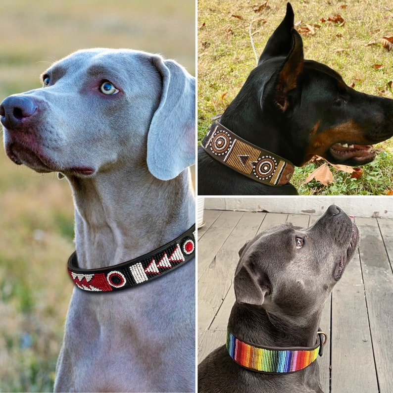 Maasai beaded leather designer dog collars handmade in Africa from quality leather for large and small dogs 画像 5