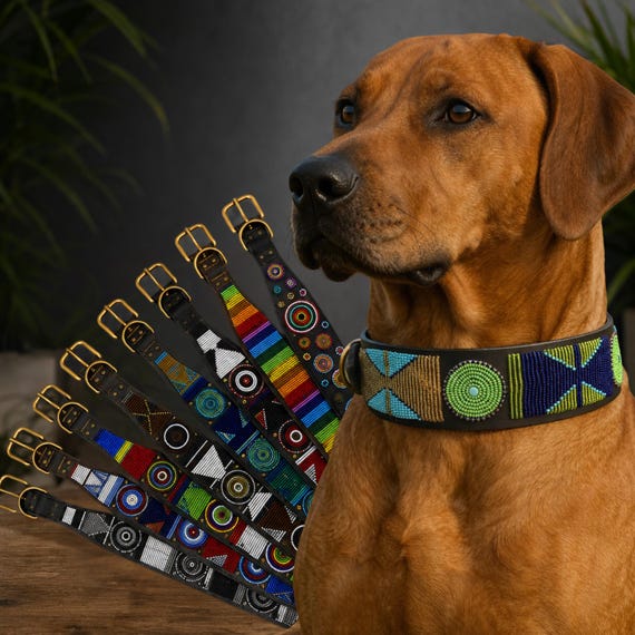 African Maasai Beaded Extra Wide Lurcher Leather Dog Pet Collar: Ethical Sustainable Handmade Designs
