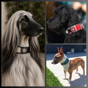 African Maasai Beaded Extra Wide Lurcher Leather Dog Pet Collar: Ethical Sustainable Handmade Designs image 3