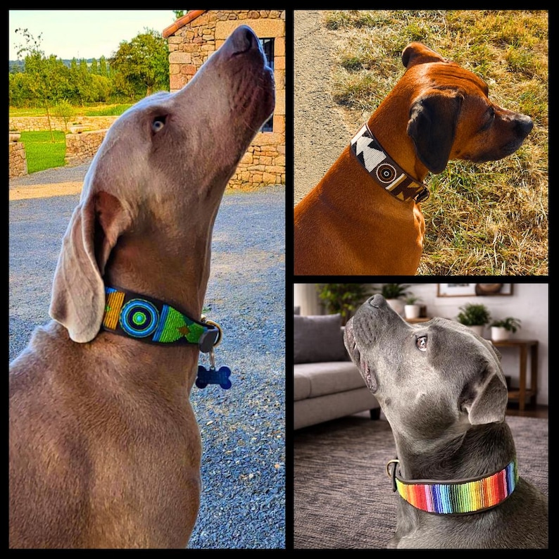 May include: Three dogs wearing decorative collars. One collar features a black base with vibrant blue, green, and orange circular patterns. Another collar has a brown base with white geometric shapes. The third collar displays a rainbow striped pattern.