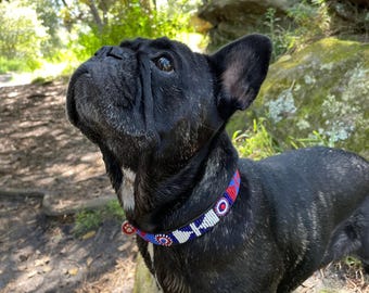 French Bulldog Dog Collar
