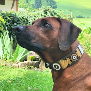 Könnte beinhalten: Ein brauner Hund trägt ein dunkles Lederhalsband mit aufwendigen Perlenstickereien. Das Halsband zeigt ein sich wiederholendes Muster aus goldenen, weißen und schwarzen Perlen, die in kreisförmigen und geometrischen Formen angeordnet sind.