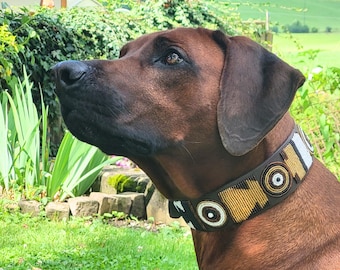 Rhodesian Ridgeback Dog Collar