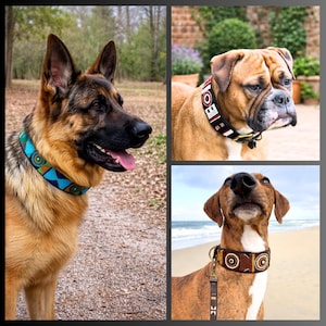 May include: A collage of three dog collars. One is bright blue with geometric patterns, one is black with white and red circular motifs, and one is brown with white circular patterns. Each collar is worn by a different dog breed.