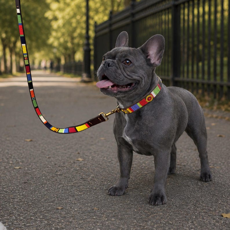 Dog Collar & Leash Set African Handmade Maasai Beaded Leather