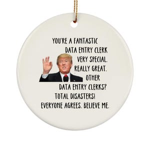 Data entry Clerk, Data entry Clerk Ornament, Data entry Clerk Gift, Data entry Clerk Appreciation Gift, Data entry Clerk Gift Ideas