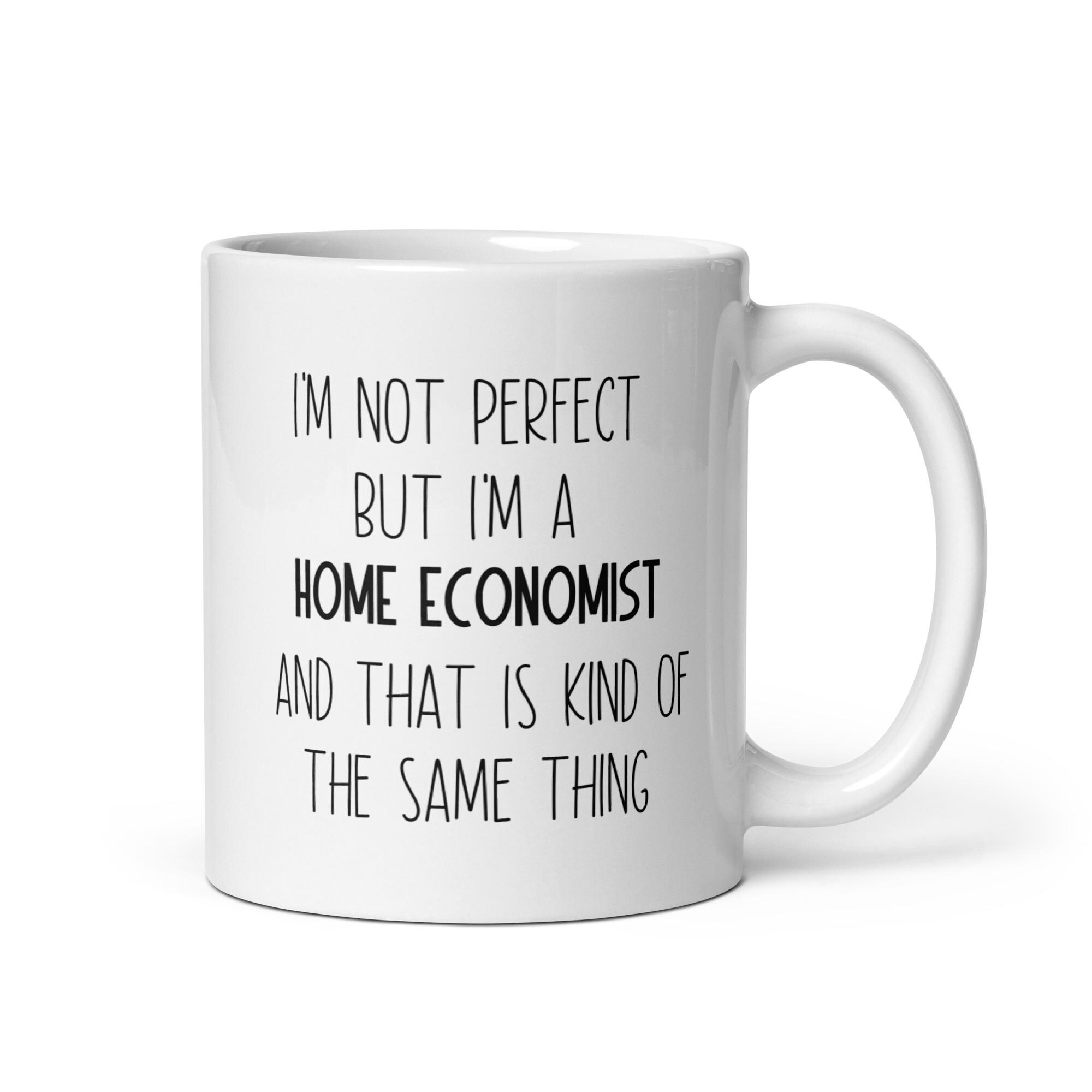 Taza de economista doméstico, regalo de economista doméstico, regalo de agradecimiento de economista doméstico, ideas de regalo de economista doméstic