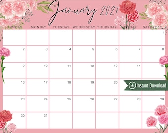 January 2027 Calendar: Pink Carnations, Editable Printable (PDF, PNG, JPG)