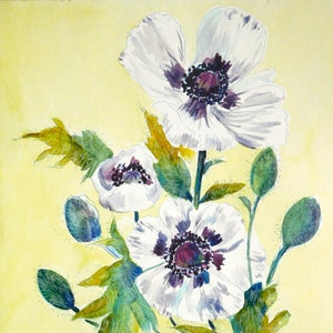 Weiße orientalische Mohnblumen - Original Kunstwerk - Tusche und Aquarell - 9 x 12 Zoll - Botanisches Kunstwerk