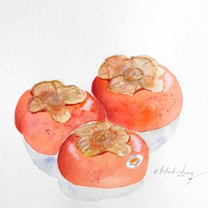 Watercolor persimmons II - Original Artwork - Watercolor Painting - 9 x 12 inches - Still life art