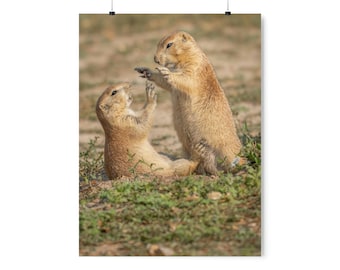 Prairie Dog Poster - Premium Matte Vertical Posters - Tickle Time