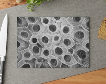 Petoskey Stone Print Glas Schneidebrett, Geschenk für Rockhound, Einzigartiges Petoskey Geschenk, Petoskey Dekor, Petoskey Stone Geschenkidee