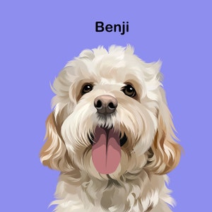 Custom Cartoon Pet Portrait, Cat Dog Portrait, Pet Prints, Pet Loss Gift, Digital Art, Personalised pet gift