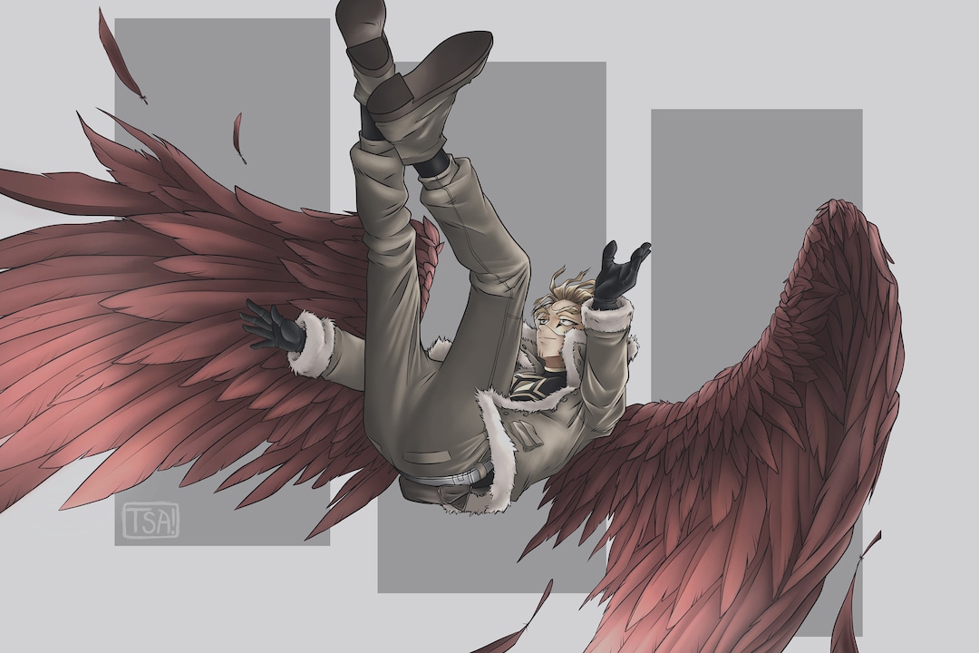 chihiro.HAWKS il_1080xN.3754540972_h7yp.jpg