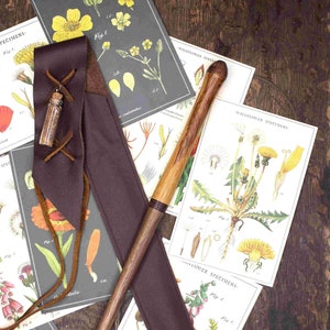 Mixed Forest Magic Wand | Metaphysical Tool | Wizard Wand