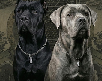 Protection, Healing and Luck Crystal Charm - Dog Amulet with a Stainless Steel Chain Necklace, Personalized Jewelry for Dog's